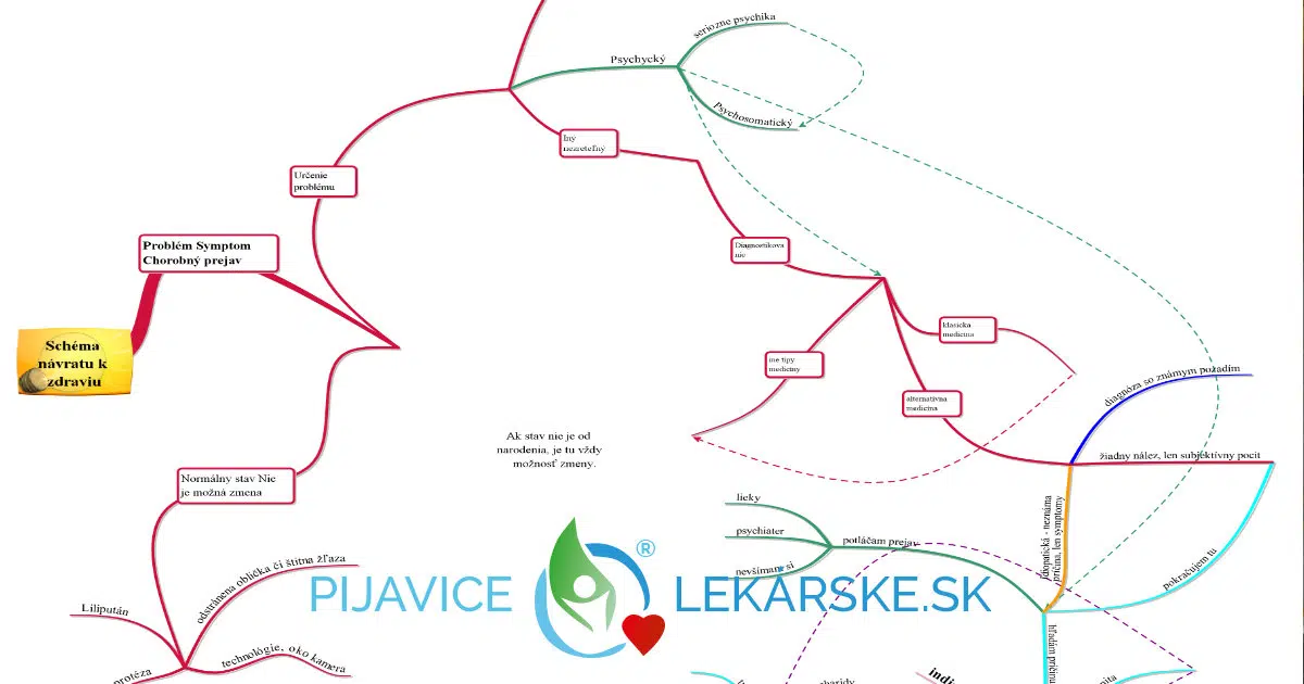 Návrat k zdraviu so zostupovou diagnostikou