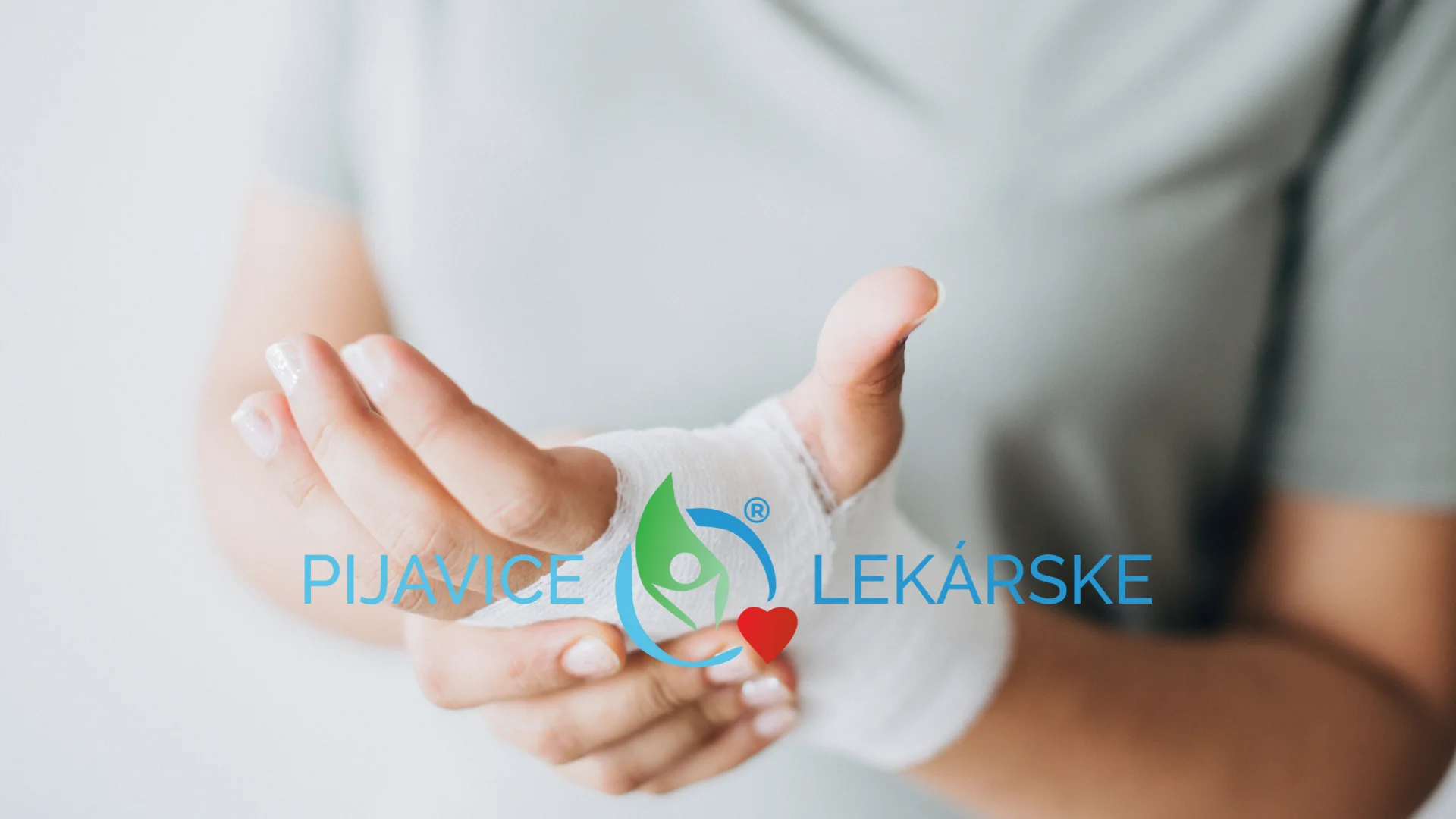 Hirudoterapia a liečba rán.